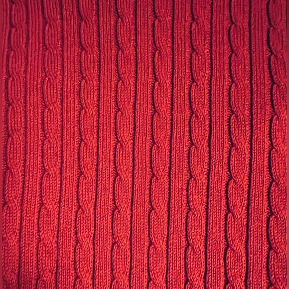 BRICK RED HOODED CABLE KNIT PULLOVER w/BUTTON COTTON SWEATER SZ 1X NWT MSRP $72 - Picture 2 of 6